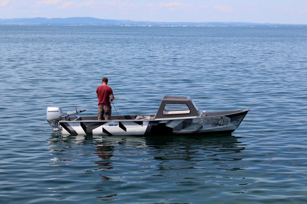 Bodensee Fisch